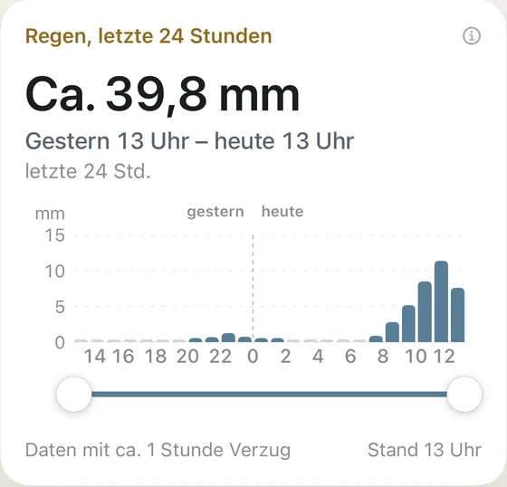 Kachel „Regen, letzte 24 Stunden“ mit Balken pro Stunde